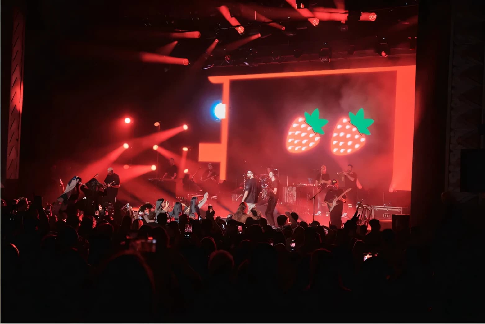 Concerts & Festivals